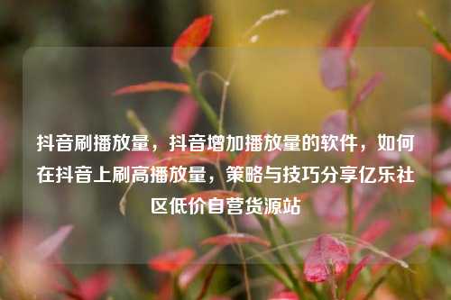 抖音刷播放量	，抖音增加播放量的软件，如何在抖音上刷高播放量，策略与技巧分享亿乐社区低价自营货源站  第1张