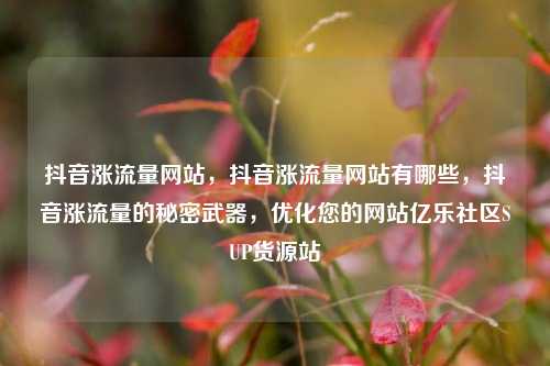 抖音涨流量网站，抖音涨流量网站有哪些，抖音涨流量的秘密武器，优化您的网站亿乐社区SUP货源站  第1张