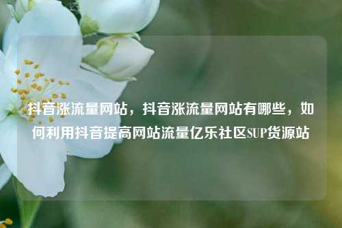 抖音涨流量网站，抖音涨流量网站有哪些，如何利用抖音提高网站流量亿乐社区SUP货源站  第1张