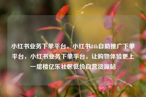 小红书业务下单平台，小红书24h自助推广下单平台，小红书业务下单平台，让购物体验更上一层楼亿乐社区低价自营货源站  第1张