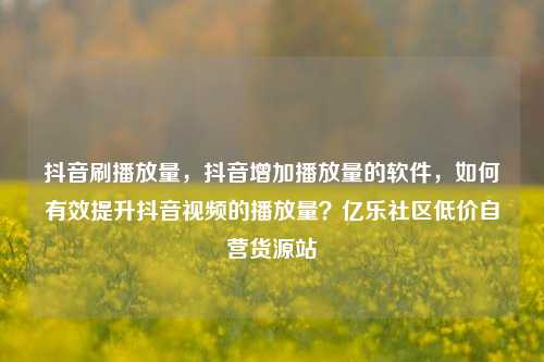抖音刷播放量，抖音增加播放量的软件，如何有效提升抖音视频的播放量？亿乐社区低价自营货源站  第1张
