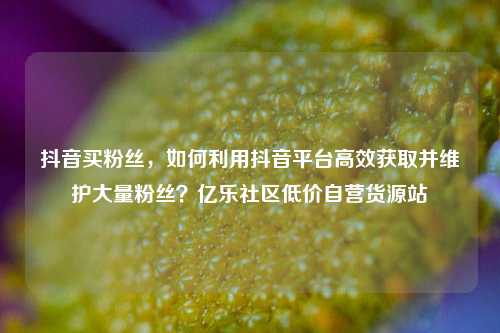 抖音买粉丝，如何利用抖音平台高效获取并维护大量粉丝？亿乐社区低价自营货源站  第1张