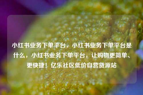 小红书业务下单平台	，小红书业务下单平台是什么，小红书业务下单平台，让购物更简单、更快捷！亿乐社区低价自营货源站  第1张