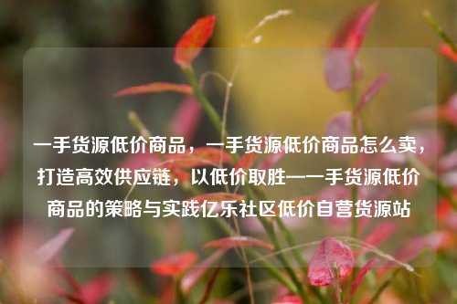 一手货源低价商品，一手货源低价商品怎么卖，打造高效供应链	，以低价取胜—一手货源低价商品的策略与实践亿乐社区低价自营货源站  第1张