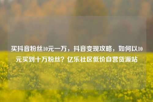 买抖音粉丝10元一万	，抖音变现攻略，如何以10元买到十万粉丝？亿乐社区低价自营货源站  第1张