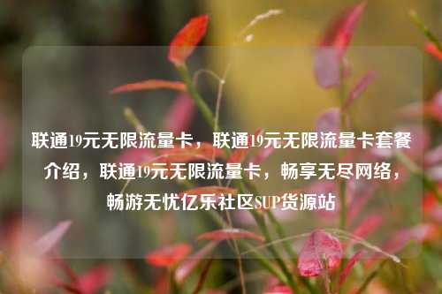 联通19元无限流量卡，联通19元无限流量卡套餐介绍，联通19元无限流量卡	，畅享无尽网络，畅游无忧亿乐社区SUP货源站  第1张