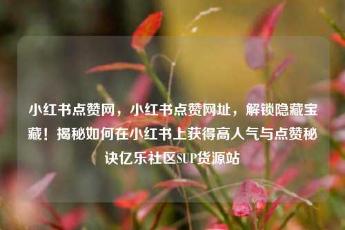 小红书点赞网	，小红书点赞网址，解锁隐藏宝藏！揭秘如何在小红书上获得高人气与点赞秘诀亿乐社区SUP货源站  第1张