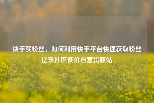 快手买粉丝，如何利用快手平台快速获取粉丝亿乐社区低价自营货源站  第1张